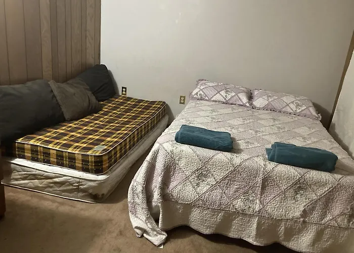 Cozy Apartment With A Spacious Backyard In The Ravine